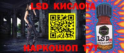 ГАЛЛЮЦИНОГЕННЫЕ ГРИБЫ Кунгур
